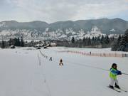 Altweglift - Télécorde/remonte-pente à câbles bas