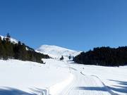 Piste de ski de fond d'altitude "La Muntagnarda"
