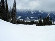 Descente Pitch Black