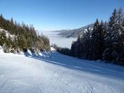 Descente vers la vallée n° 1