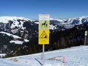 Panneau d'information pour la protection de la forêt