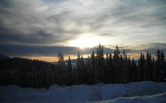 Skier près de Whitefish
