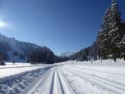 Pistes de ski de fond parfaitement tracées