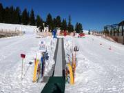 Bon plan pour les enfants : 