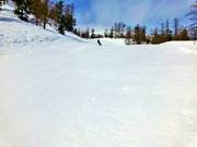 Piste bleue St. Sauveur