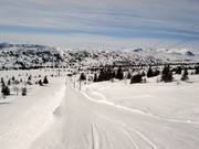 Petterheisen - Téléski