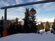 Descente Waldabfahrt The Stash