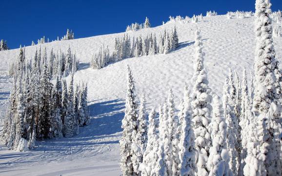 Domaines skiables pour skieurs confirmés et freeriders Thompson-Nicola – Skieurs confirmés, freeriders Sun Peaks