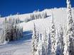 Domaines skiables pour skieurs confirmés et freeriders Chaîne Columbia – Skieurs confirmés, freeriders Sun Peaks