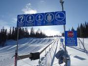 Tube Town Carpet - Tapis roulant/Moving Carpet