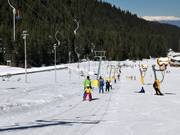 Panica B - Téléski