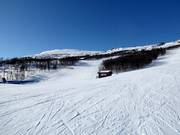 Large piste dans le domaine skiable de Sysendalen