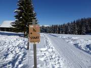 Bon plan pour les enfants : 