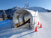 Tapis des Chaux - Tapis roulant/Moving Carpet recouvert d’une galerie