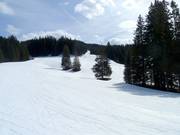 Piste facile Sonnwiesabfahrt