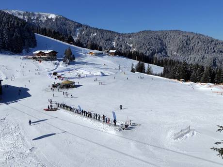 Domaines skiables pour les débutants dans la Ferienregion Alpbachtal (région touristique d'Alpbachtal) – Débutants Ski Juwel Alpbachtal Wildschönau