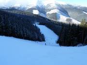 Piste n° 2 Májová