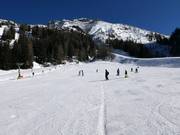 Grand espace débutant Kaserwald