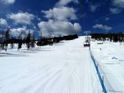 Piste principale Main