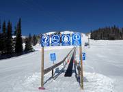 Discovery Carpet - Tapis roulant/Moving Carpet