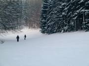 Piste facile au téléski Hirtenteichlift
