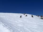 Pente de poudreuse au téléski Hochsonnlift