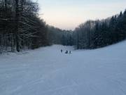 Piste facile au téléski Hirtenteich