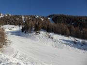 Piste facile Campo Scuola Scoiattolo