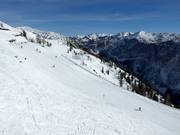 Vue sur les pentes de la Loser Alm