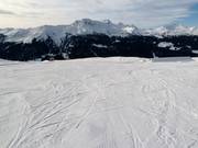 Piste facile n° 7 Trainer aux remontées mécaniques Albeina