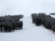 Piste difficile Wolverine