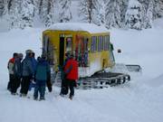 Catskiing à Revelstoke