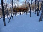 Bon plan pour les enfants : 