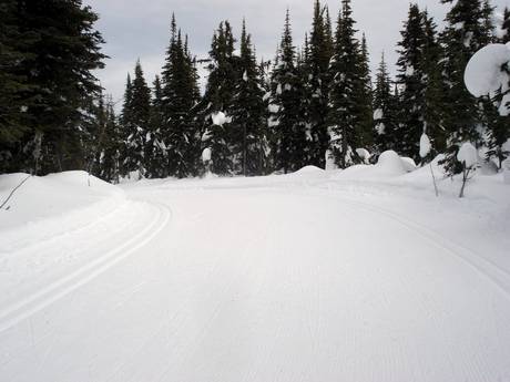 Ski nordique Chaîne Columbia – Ski nordique Silver Star