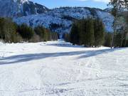 Piste facile Gammeringabfahrt