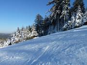 Piste damée au Mehliskopf