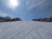 Large piste Steamboat B