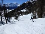 Piste de difficulté moyenne vers Törbel