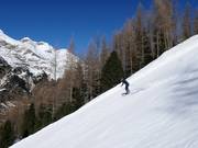 Piste noire Grünboden
