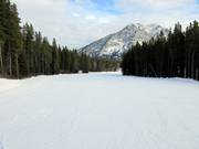 Des pistes larges et faciles au télésiège double Bronze Chair