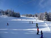 Descente Höfi au Hauser Kaibling