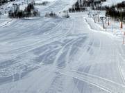 Zone débutants aux téléskis Mikkel et Mikkeline