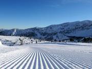 Très bonne préparation des pistes