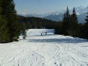 Piste au téléski Sattelkurvenlift