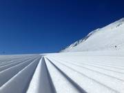 Les traces qui signifient le monde !