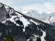 Descentes en forêt à Ayre Barèges