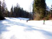 Les familles et les enfants adorent les pistes faciles.