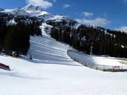 La descente de l'alpage se termine au Gamsjet