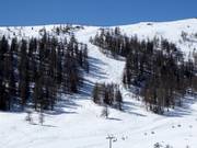 Pistes à bosses au Speiereck