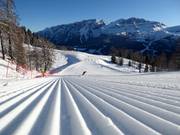 Piste fraîchement préparée